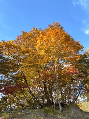 2021大菩薩嶺 (31)