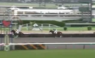 nakayama2_314_1.jpg