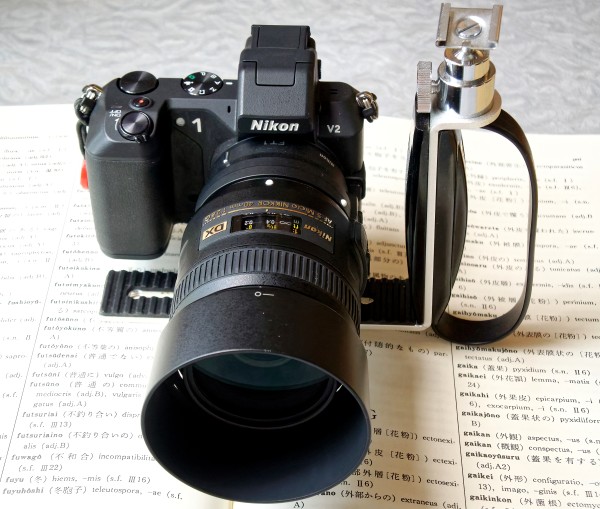 マクロ用レンズ試し撮り － Nikon AF-S DX Micro NIKKOR 40mm f/2.8G
