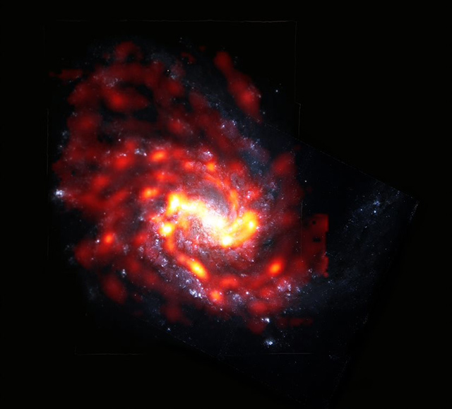 おとめ座銀河団の渦巻銀河M99