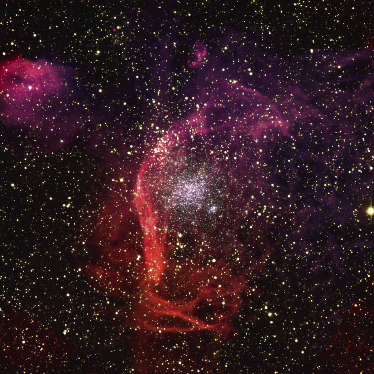 星団「NGC 1850」