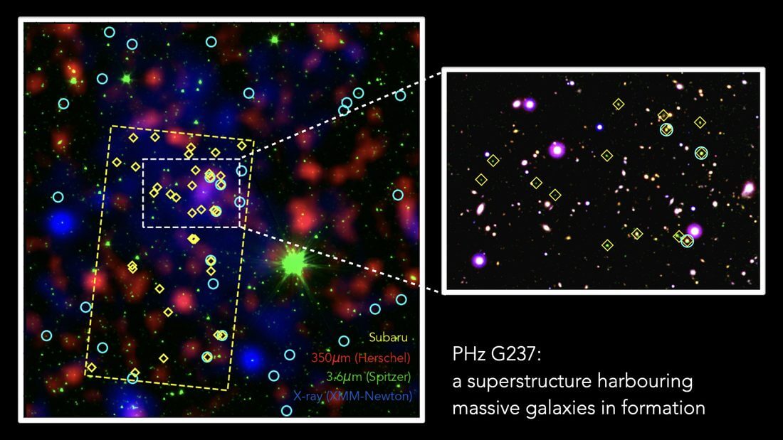 原始銀河団G237の画像