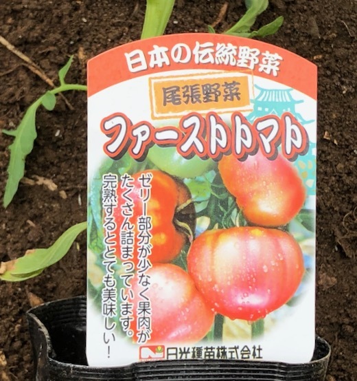 トマトの植え付けと寒冷紗 - 3