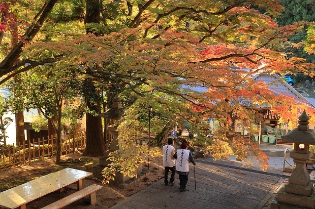 大窪寺 紅葉 2021