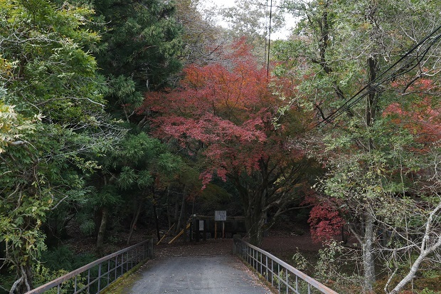 虹の滝キャンプ場　紅葉