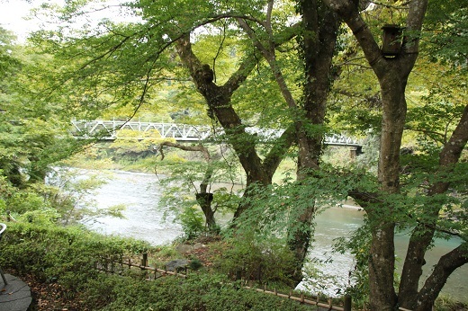 澤乃井園2