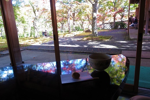 茶室「真和亭」からの苔庭の紅葉