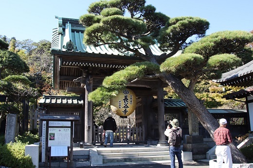 鎌倉長谷寺の山門
