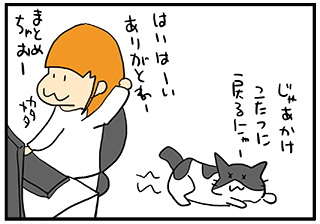 neko5.jpg
