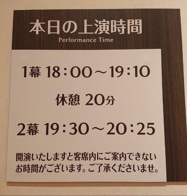 12月25日 劇団四季 アナと雪の女王 チケット S1席2枚 連番 【最安値