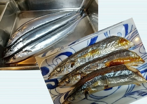 20210911秋刀魚